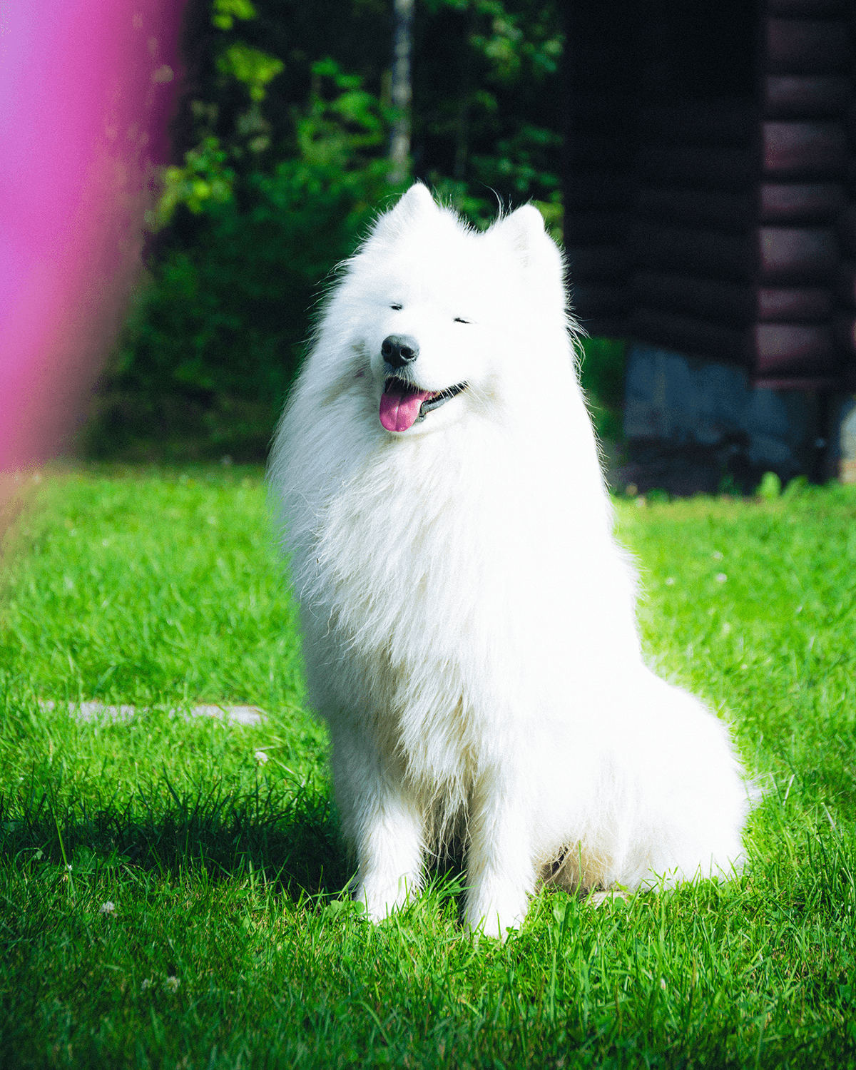 Jere Alanen portfolio