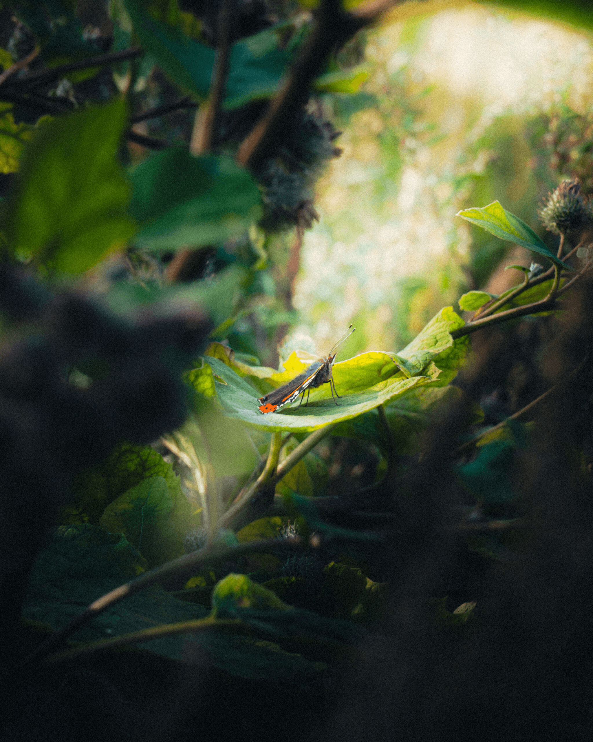 Secret Sanctuary – matkavalokuvaus